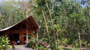 Explore and Restore in Hawaii