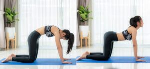 Happy Gut, Happy You: Enhance Digestive Health With Yoga Poses