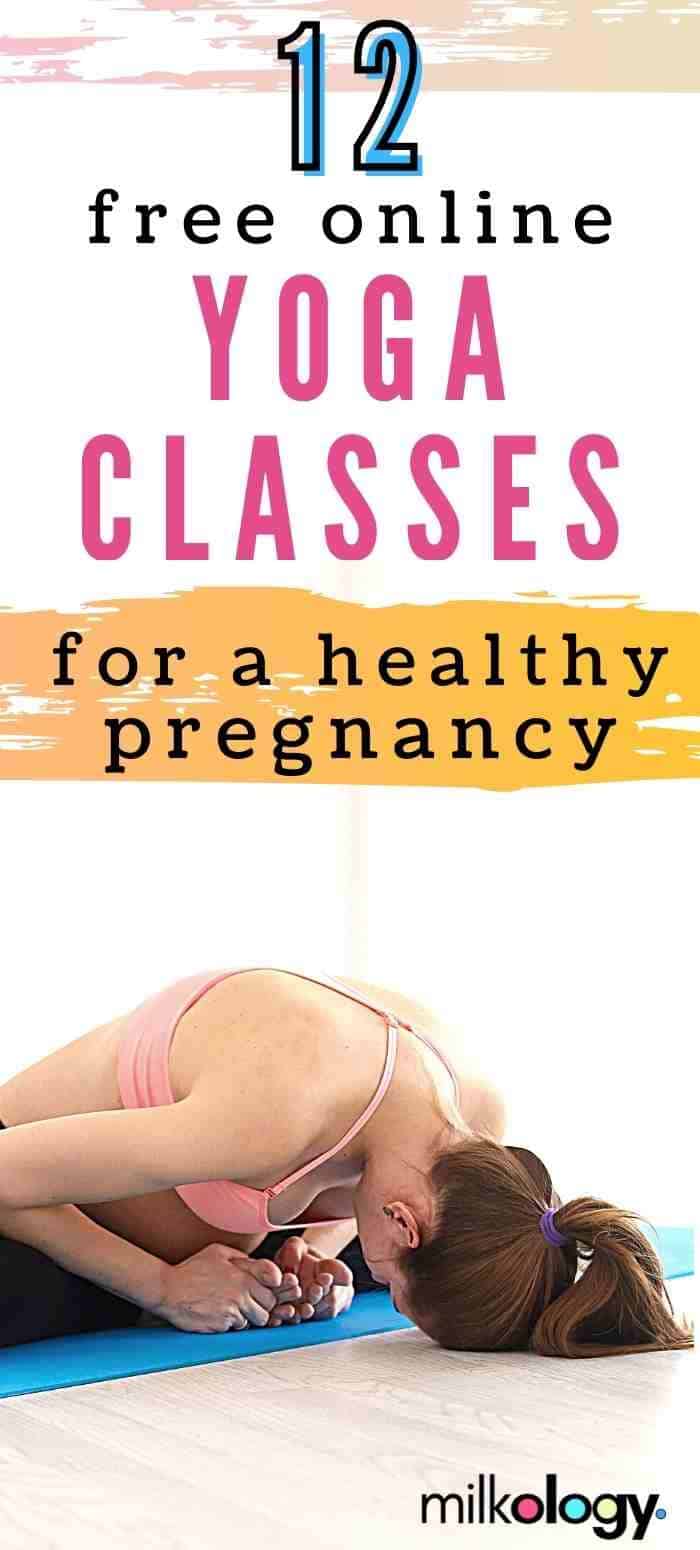 Prenatal Harmony: Access Affordable Online Yoga Classes