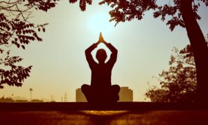 A Guide to Understanding the Eight Limbs