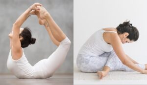 Deep Dive into Hatha Yoga Intensive Courses