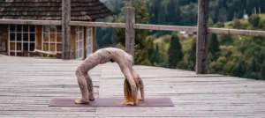 A Comprehensive Guide to the Primary Series