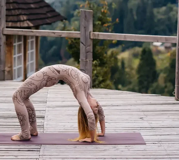 A Comprehensive Guide to the Primary Series