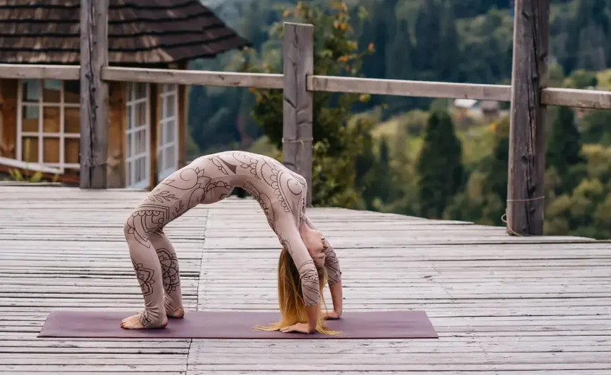 A Comprehensive Guide to the Primary Series