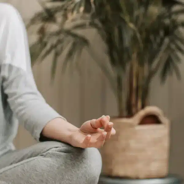 Nurturing Body, Mind, and Spirit