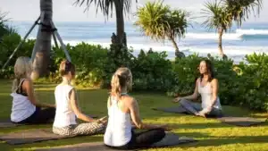 The Essence of Hatha Yoga Immersion Retreats